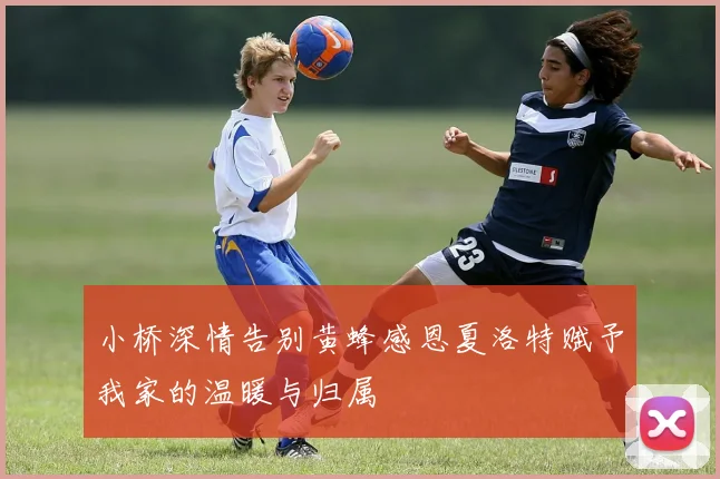 小桥深情告别黄蜂感恩夏洛特赋予我家的温暖与归属